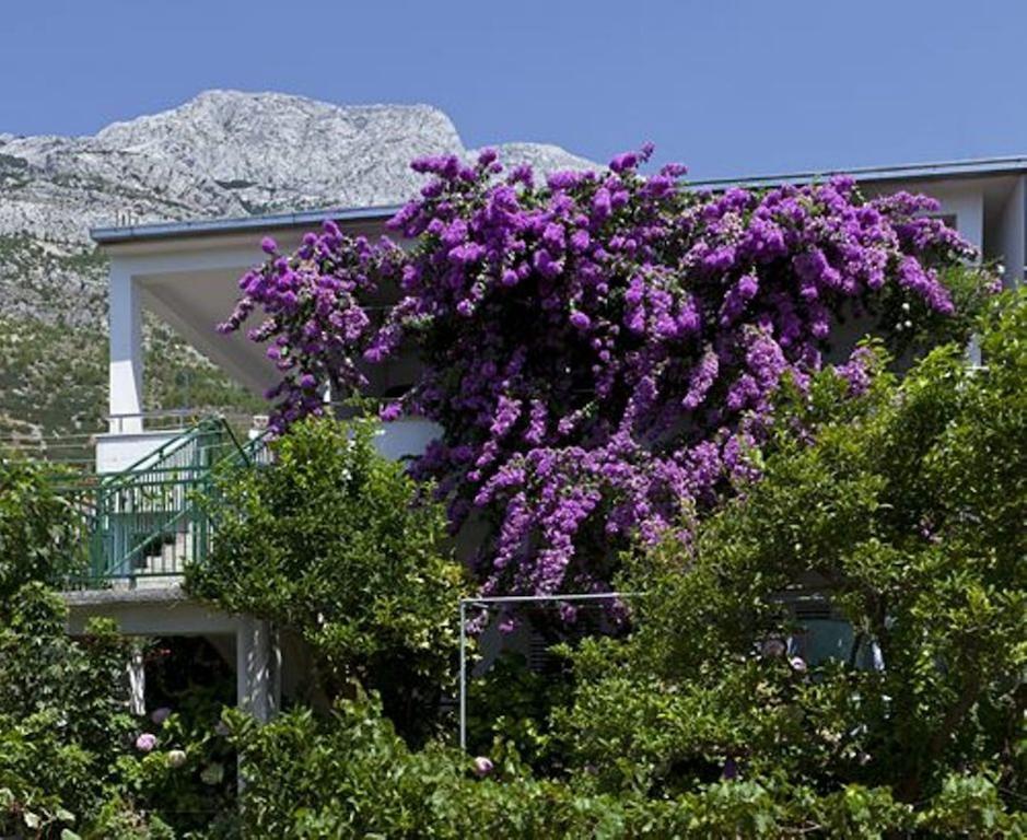 House Marta Daire Baška Voda Dış mekan fotoğraf